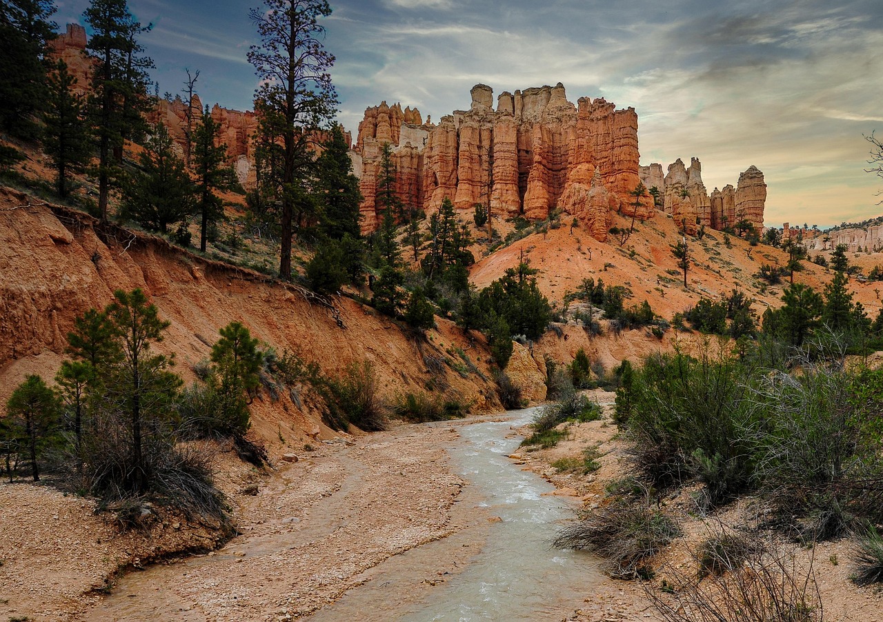 再婚を考える30代におすすめの婚活サイトと結婚相談所の口コミは？