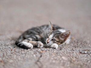婚活で出会えないと疲れた時の対処法は？