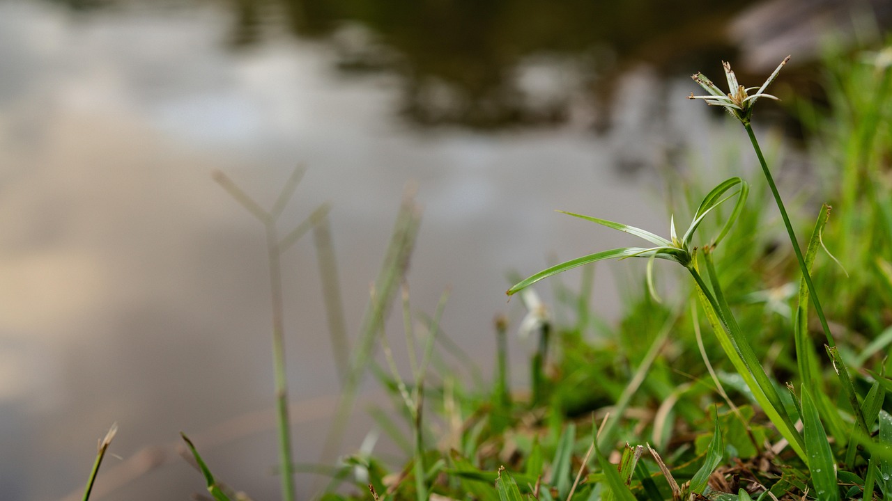 婚活で出会えない人が自己PRを改善する方法は？