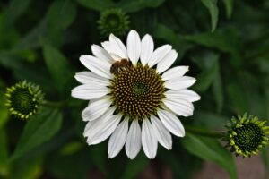 婚活での既読無視に悩んだら、どう相談すればいい？